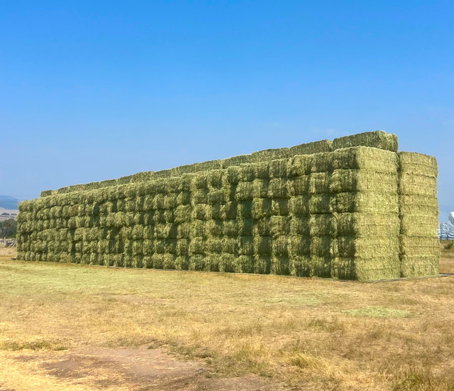 Alfalfa Orchard Pellets