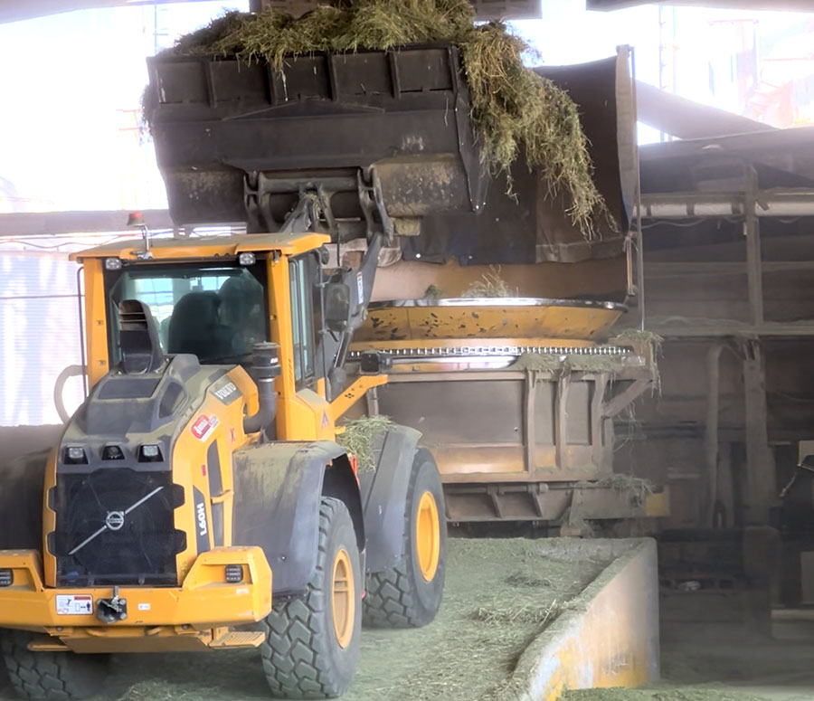Alfalfa Orchard Pellets